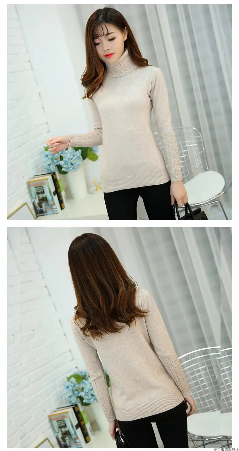 Pull col roulé femme