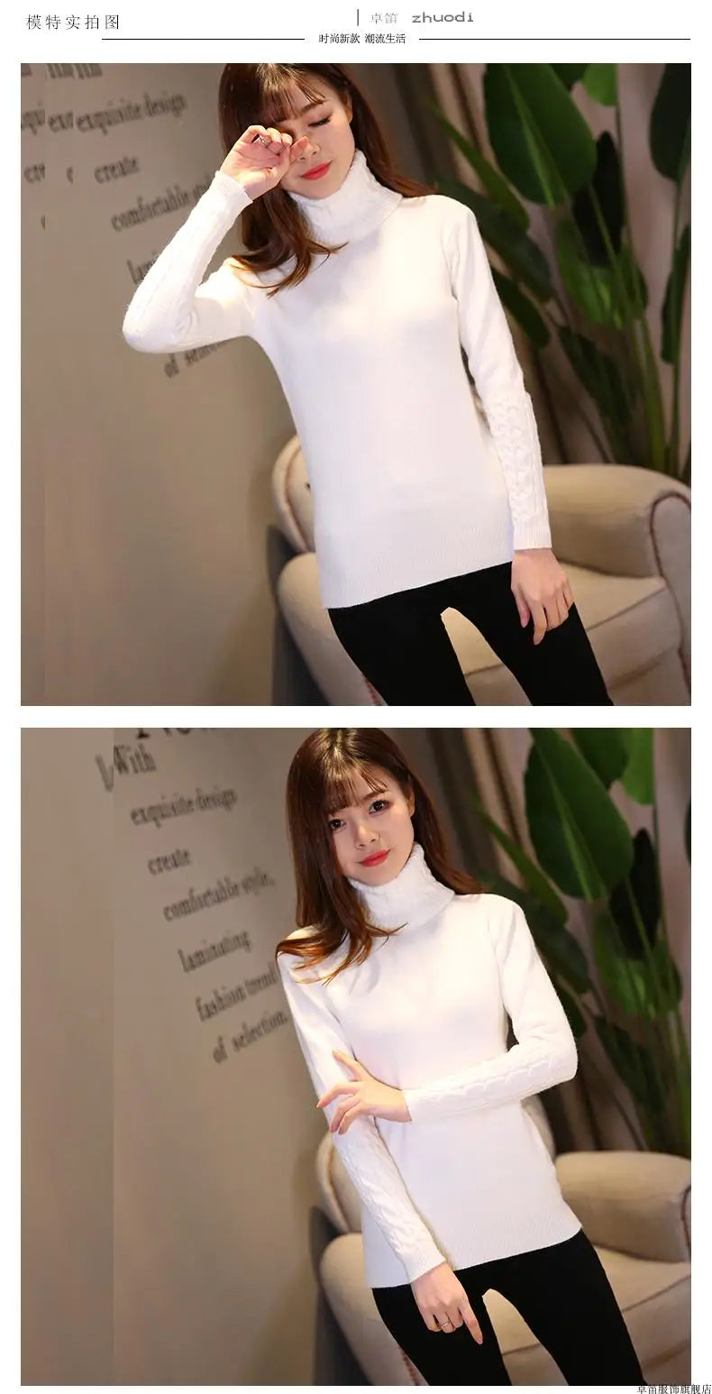 Pull col roulé femme