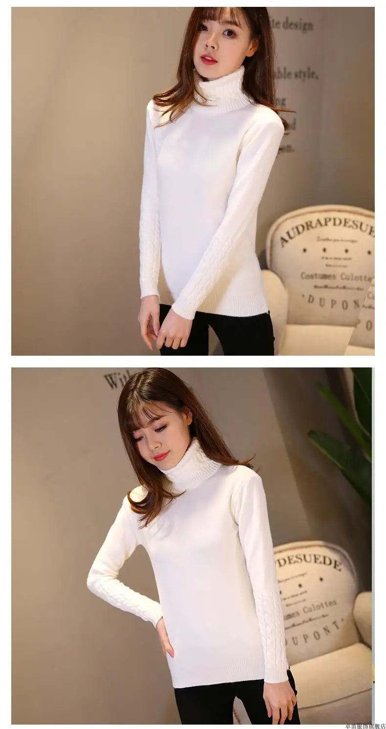 Pull col roulé femme
