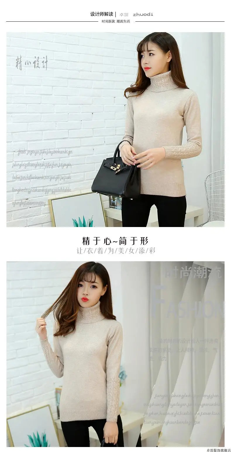 Pull col roulé femme