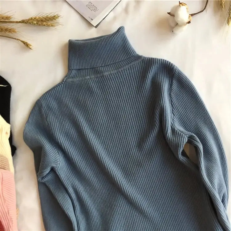 Pull col roulé femme