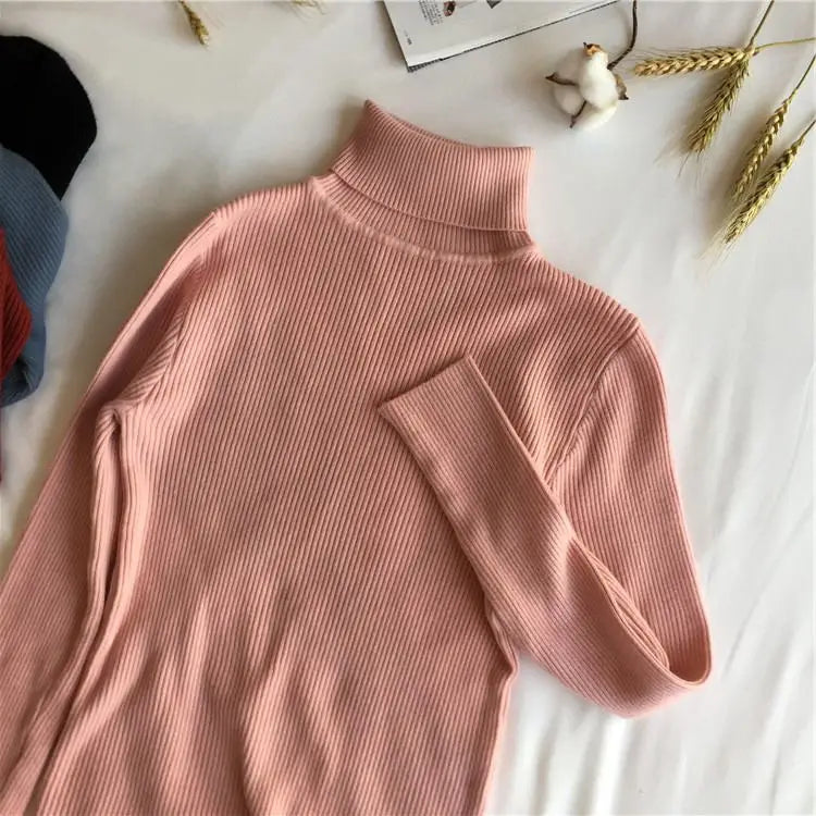 Pull col roulé femme