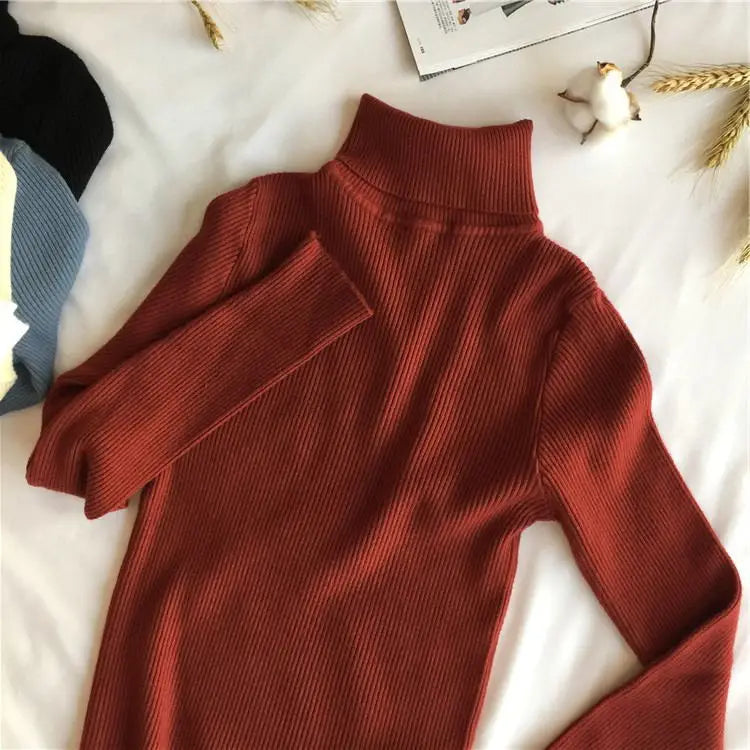Pull col roulé femme