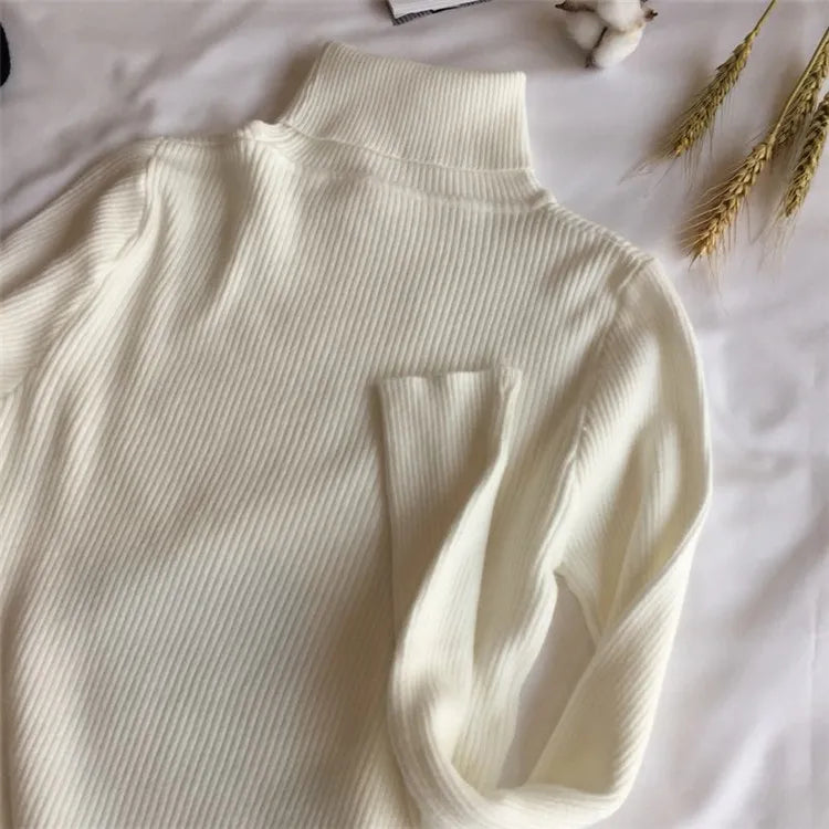 Pull col roulé femme