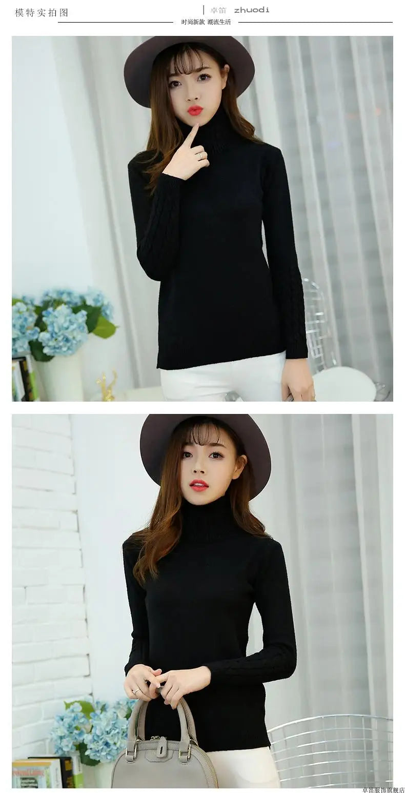 Pull col roulé femme