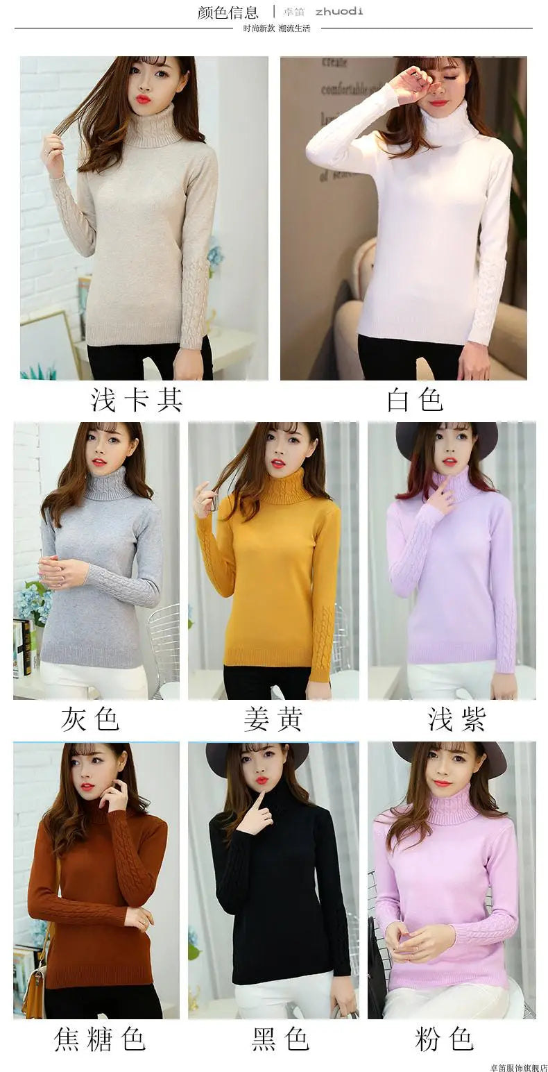 Pull col roulé femme
