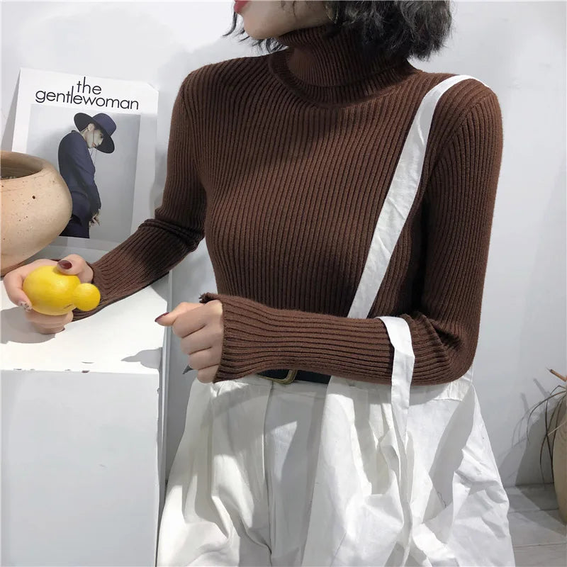 Pull col roulé femme