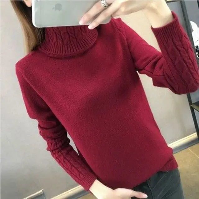 Pull col roulé femme
