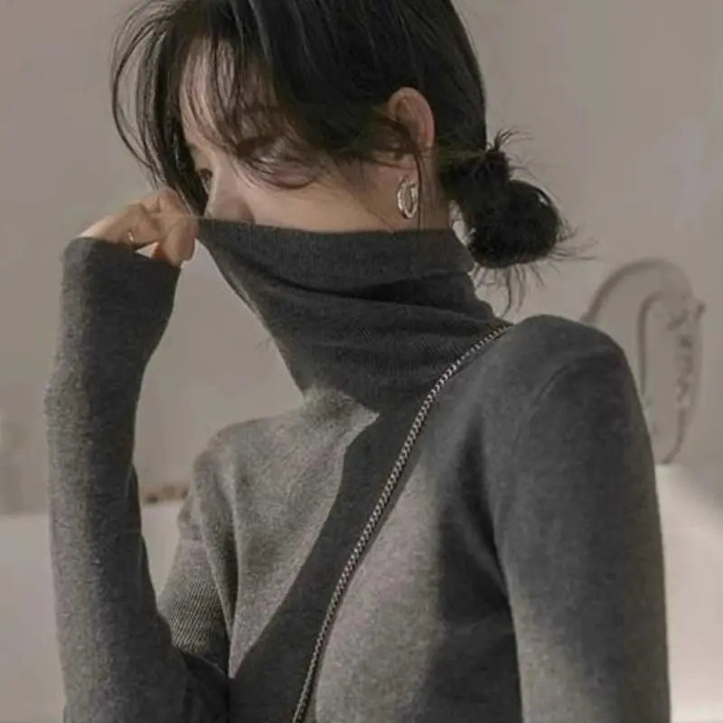 Pull col roulé femme