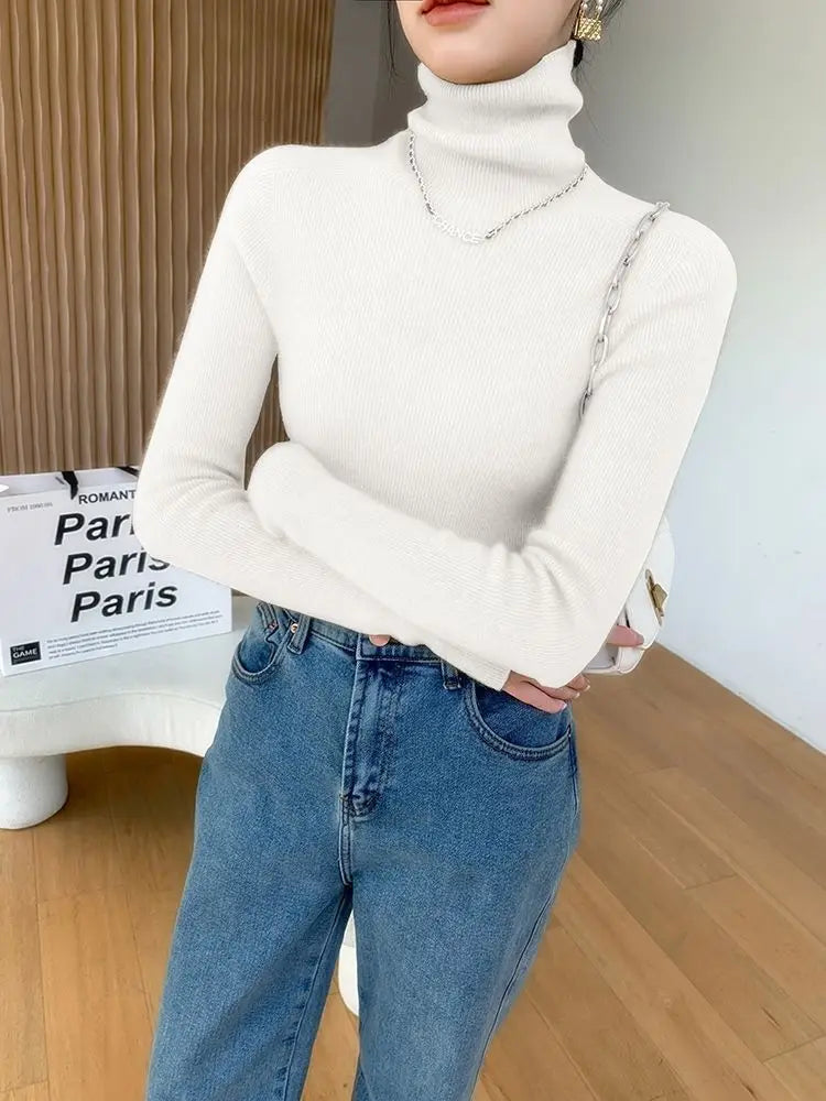 Pull col roulé femme