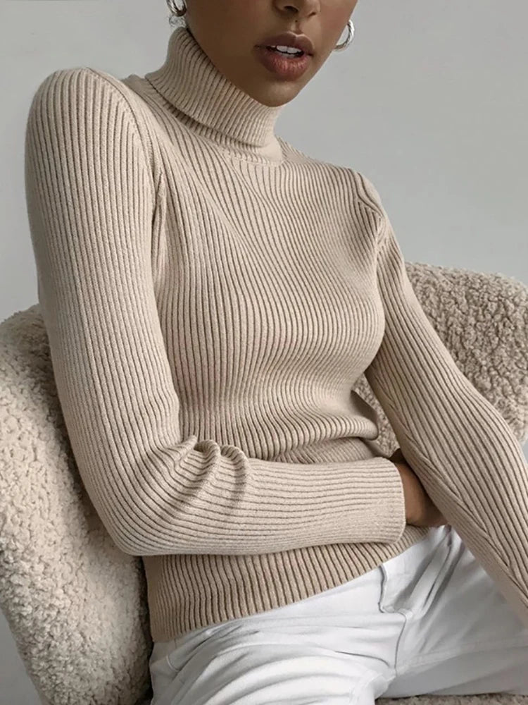 Pull col roulé femme