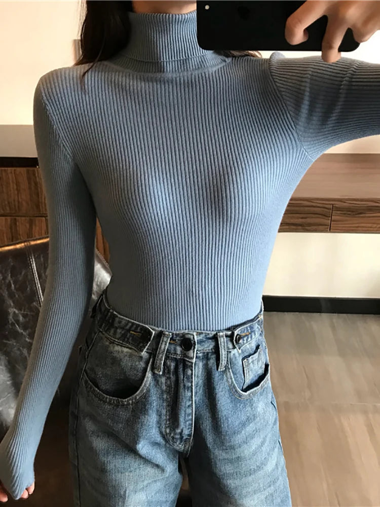 Pull col roulé femme