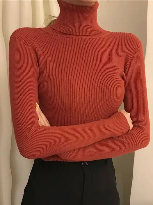 Pull col roulé femme