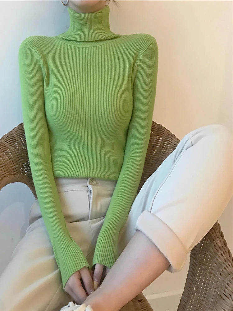 Pull col roulé femme