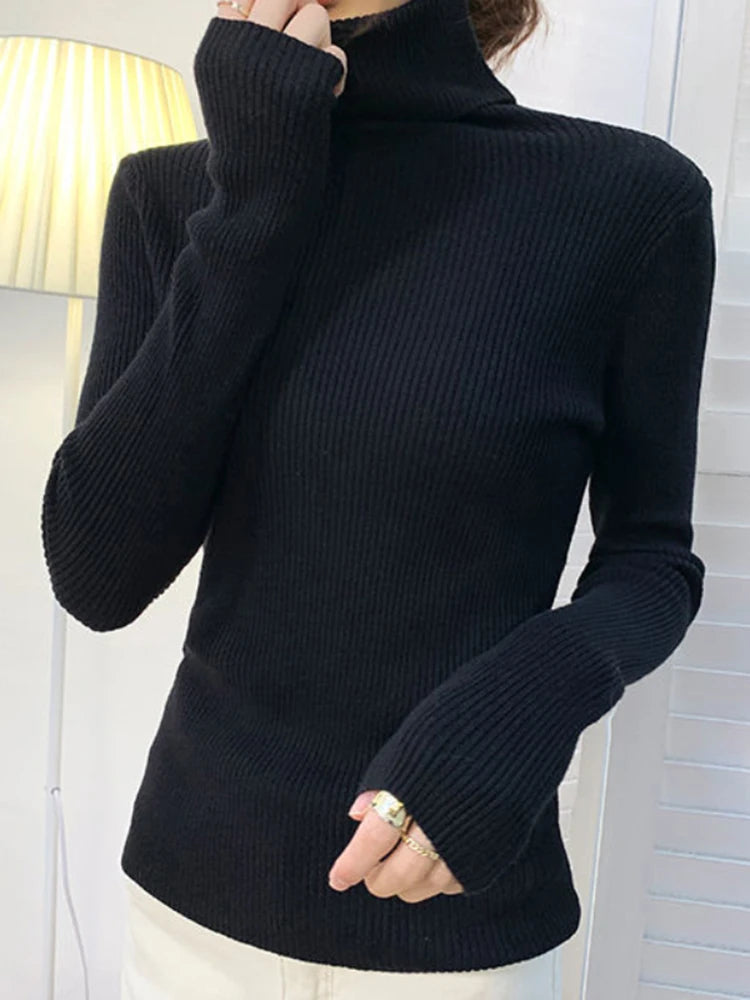 Pull col roulé femme