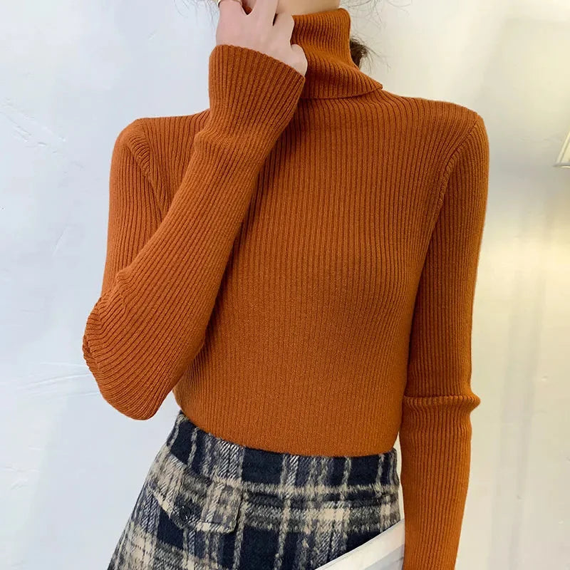 Pull col roulé femme