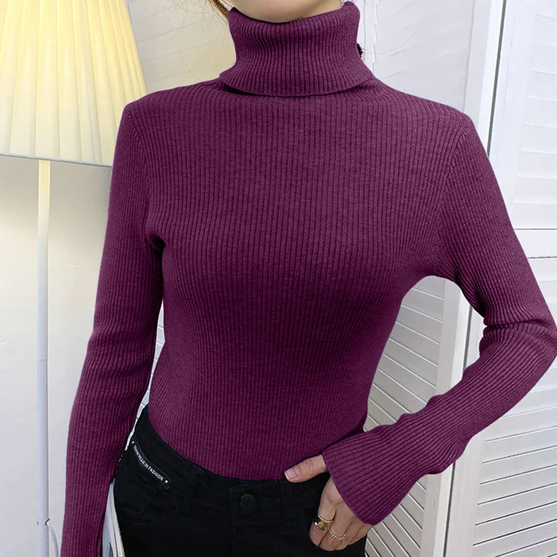 Pull col roulé femme