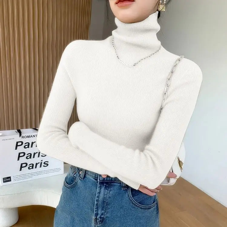 Pull col roulé femme